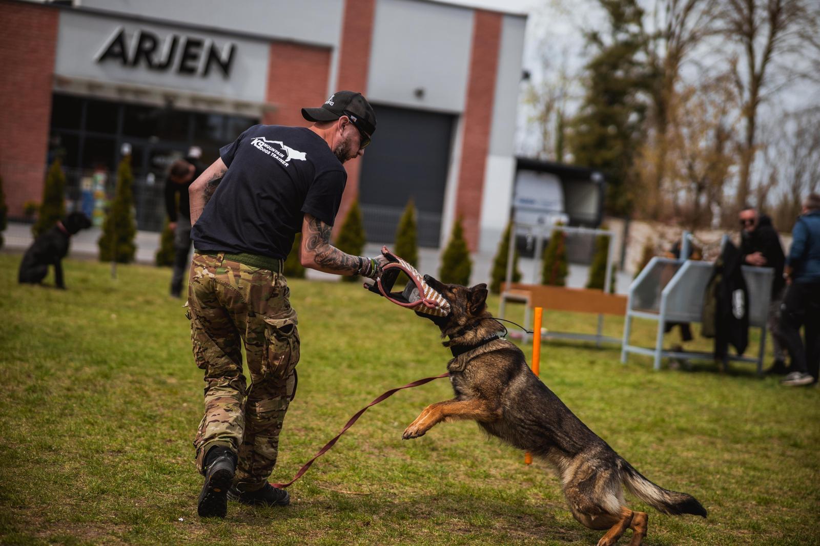 Projekt Thor — szkolenie dobermana